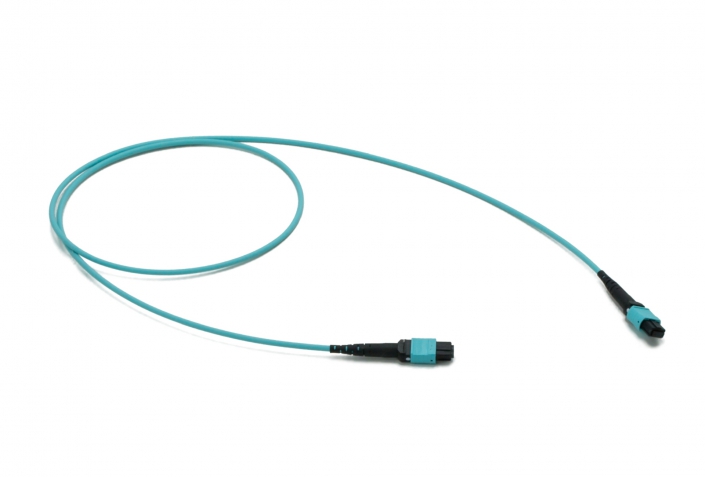 MTP to MTP trunk cable