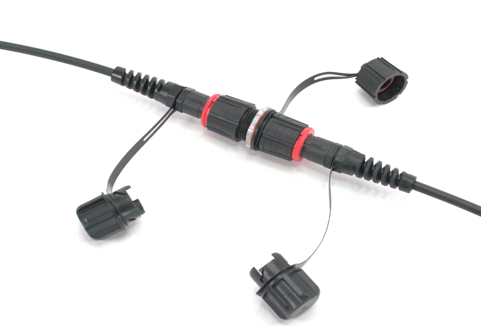 IP MPO to IP MPO 12/24-fiber trunk cable
