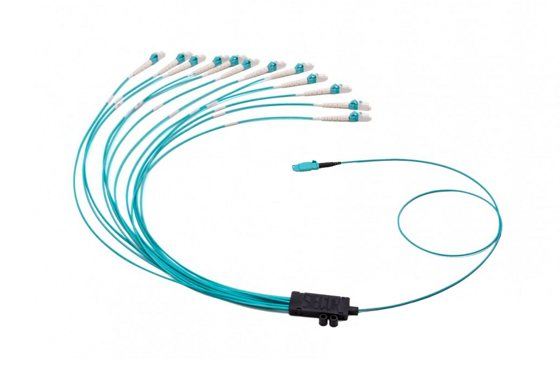 01x MXC - 12x LC/PC 2,0 mm 12F ROUND FANOUT