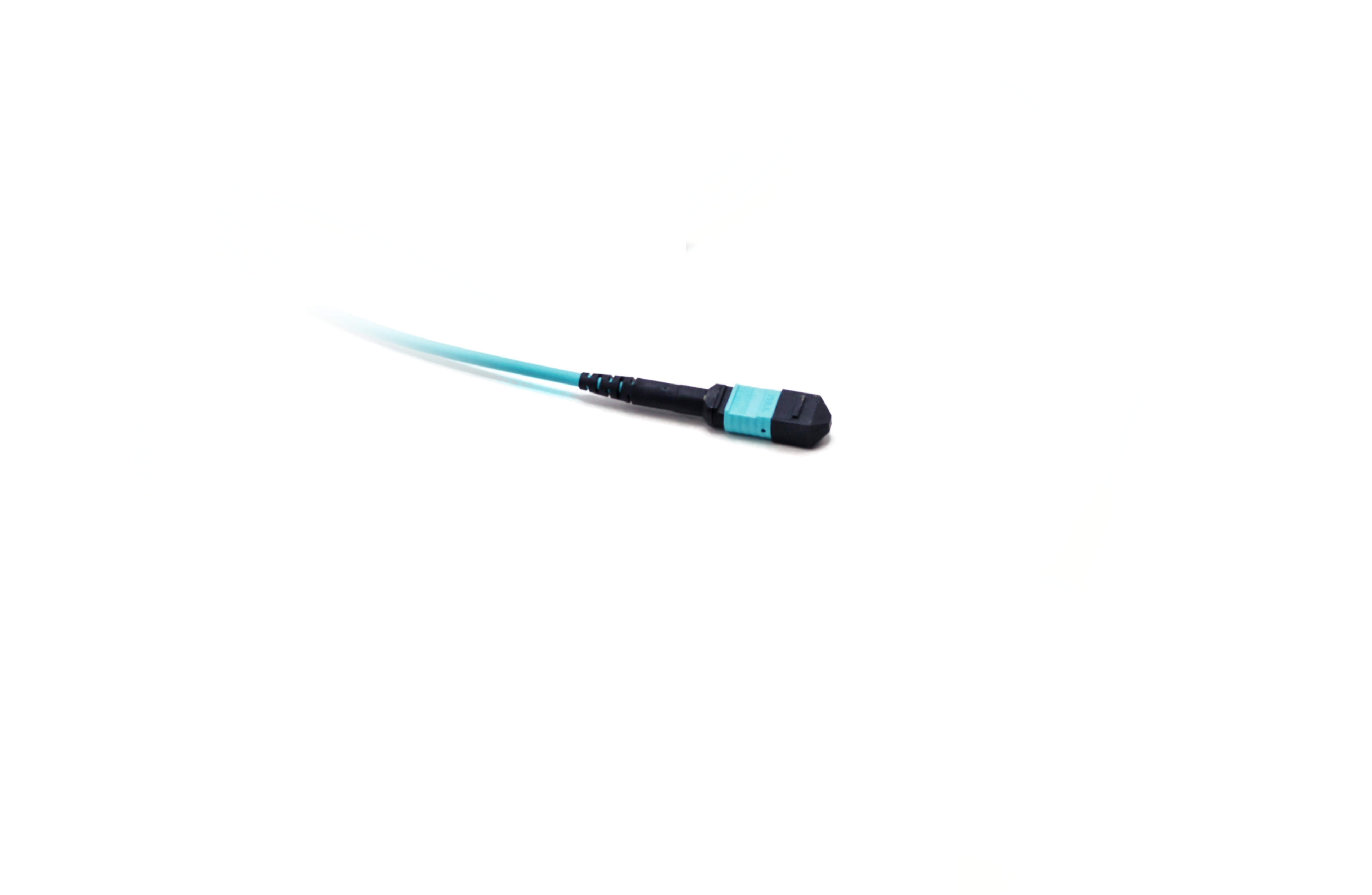 MTP 72-fiber patch cable