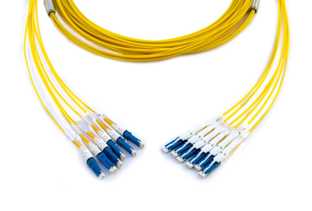 CS – CS 12F-fiber Duralino trunk