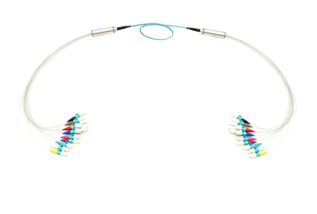 lc-lc-12-fiber-duralino-trunk-900um (3)