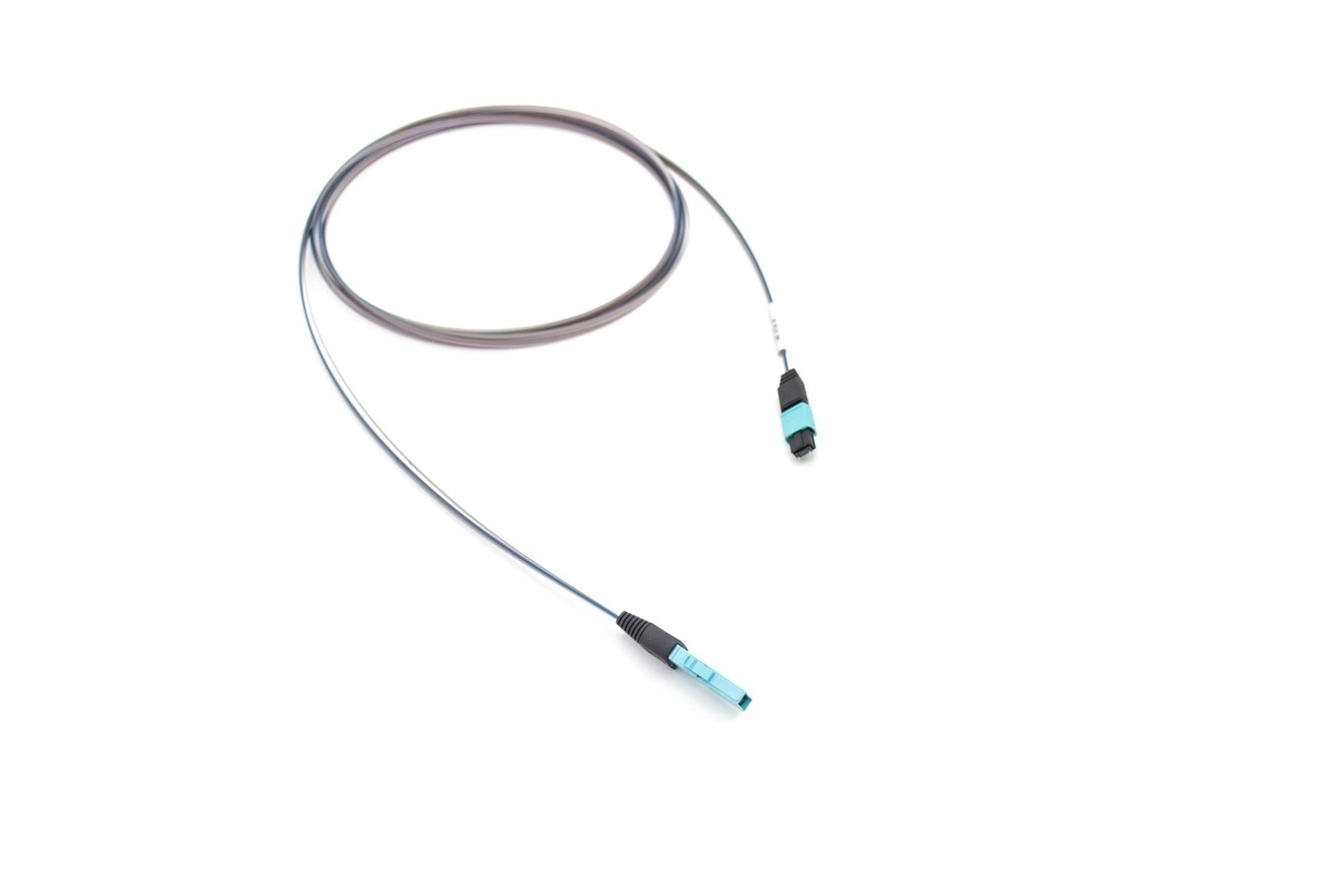 01xMTP-01xMXC-PLUG-48F-OM3-Ribbon-1
